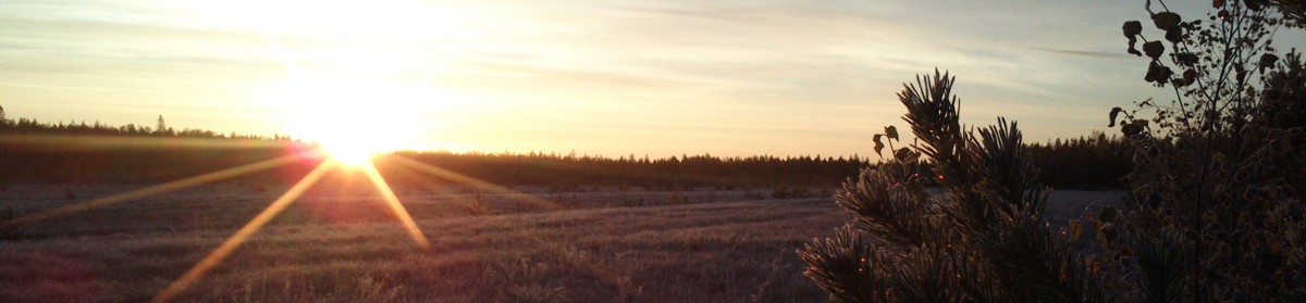 Joenkylän Metsästysyhdistys ry