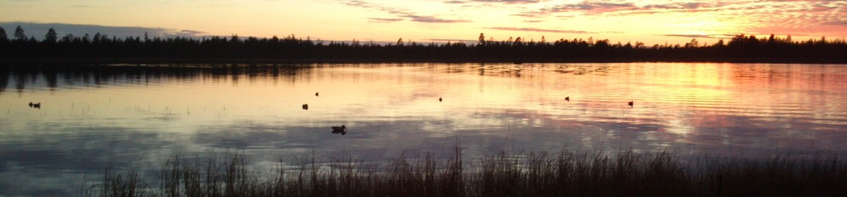 Joenkylän Metsästysyhdistys ry