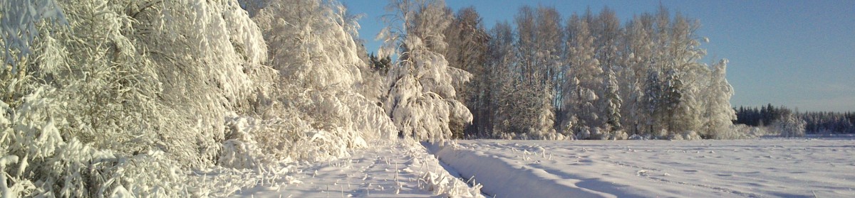 Joenkylän Metsästysyhdistys ry
