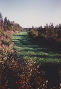 IMG_0056_1