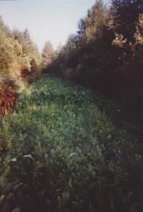 IMG_0056_2