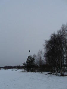 IMG_2728