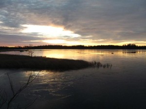 kkäri