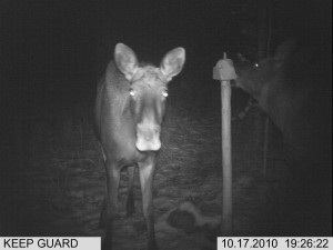 kylmäneva lokakuunloppu 116