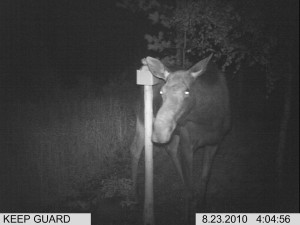 kylmäneva syyskuu 133