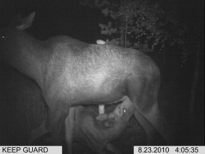 kylmäneva syyskuu 137