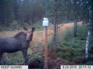 kylmäneva syyskuu 373