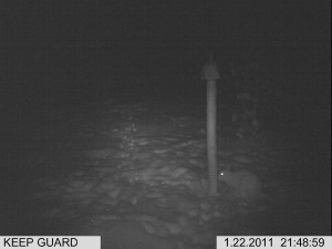 lisäkuvat riista 1 021