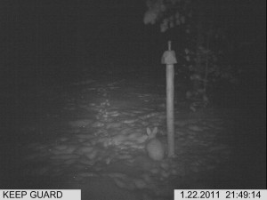 lisäkuvat riista 1 022