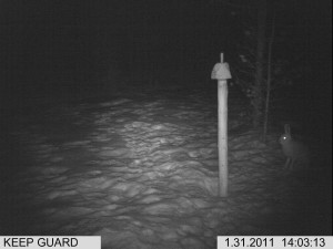 lisäkuvat riista 1 028