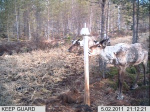 lisäkuvat riista 1 074