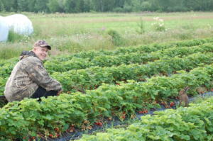 mansikkapupu6.7.2013 109