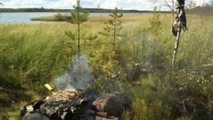 särkijärvi